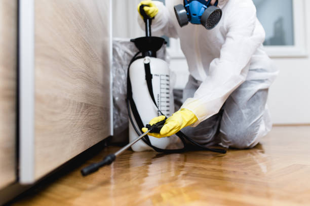 Professional Pest Control in Fruitridge Pocket, CA