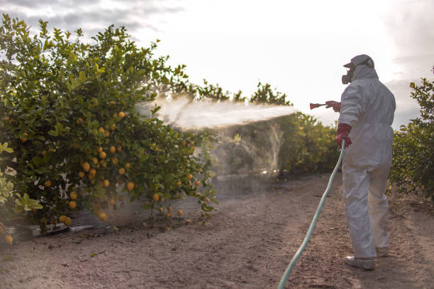 Pest Control Cost in Fruitridge Pocket, CA